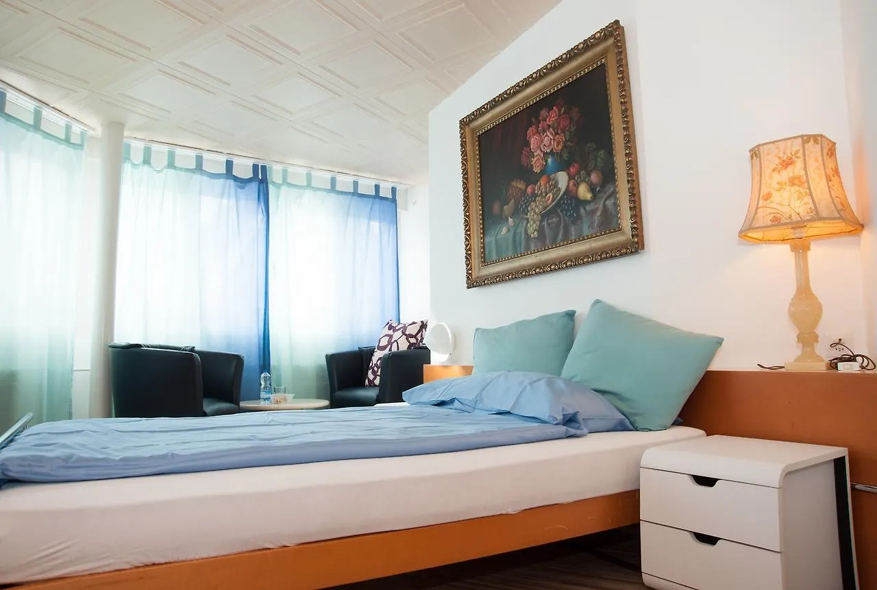 Hotel White Horse Basel 3*,